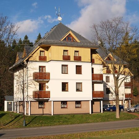 Rodinne Apartmany Destne v Orlickych horach Dış mekan fotoğraf